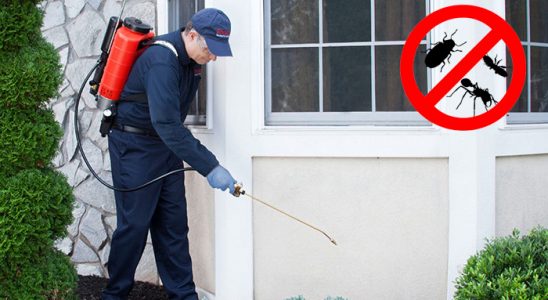 Evka 7 Tahtakurusu İlaçlama böcek ilaçlama ve haşere kontrolü — ilaclama-tr.com